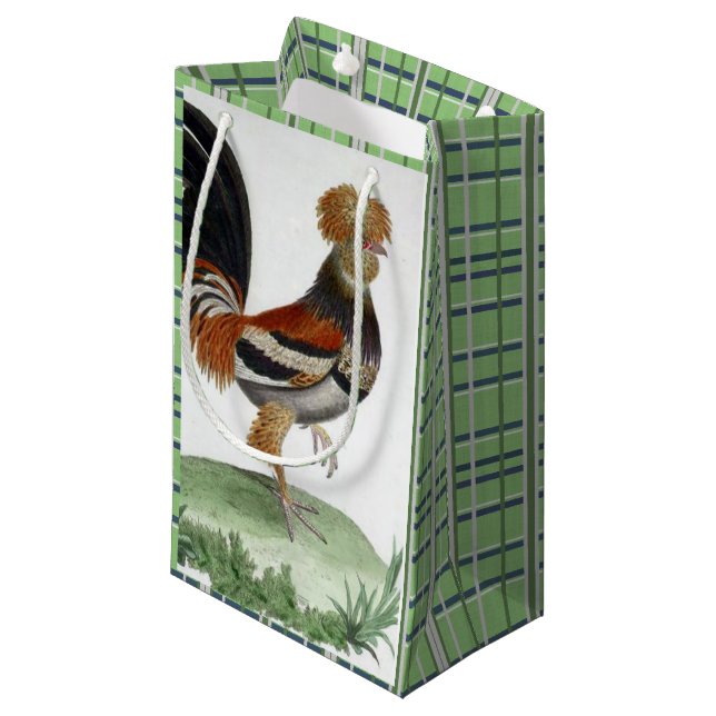 Sac cadeau Vert Oiseau Français (Devant Angle)