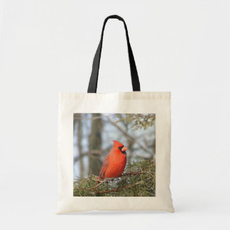 Sac cardinal