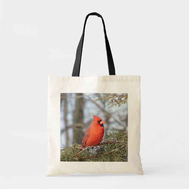 Sac cardinal (Devant)