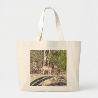 SAC - CERVEAU