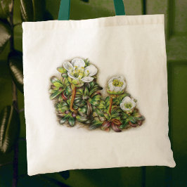 Sac d'art fleur Diapensia lapponica