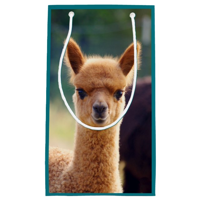 Sac de cadeau d'alpaga de bébé petit (Devant)