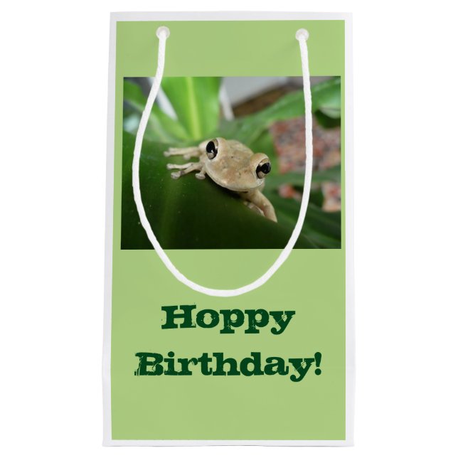 Sac de cadeau d'anniversaire, petite grenouille (Devant)