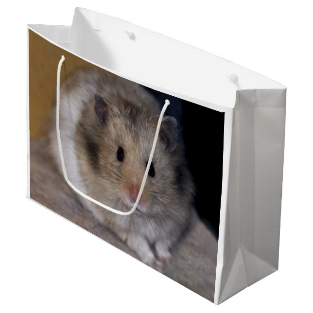 Sac de cadeau de Hammie (Devant Angle)