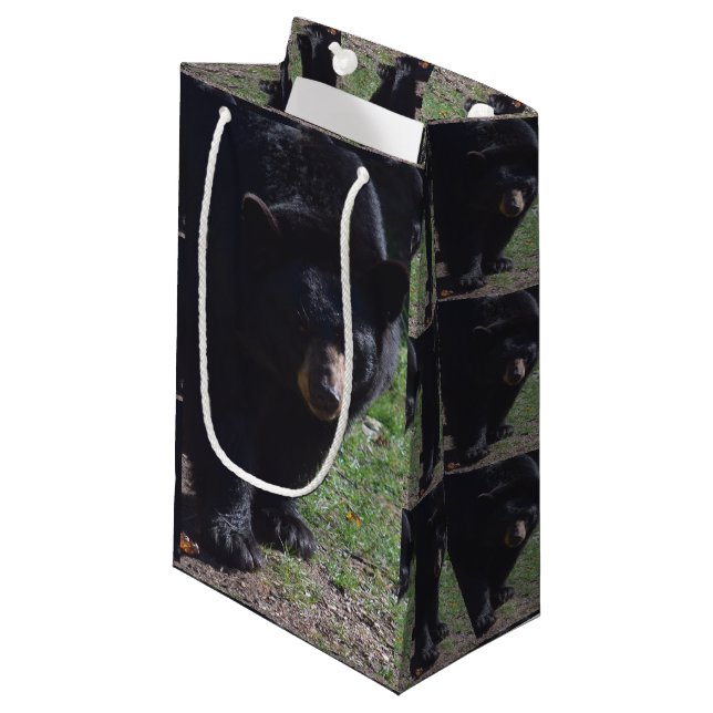 Sac de cadeau d'ours noir (Devant Angle)