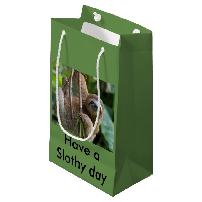 Sac de cadeau pour vos amis de paresses (Devant Angle)