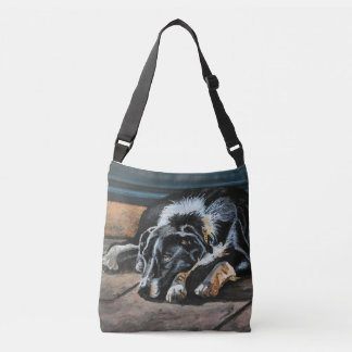 Sac de carrosserie de Collie à la frontière endorm
