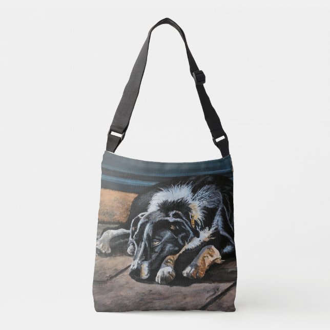 Sac de carrosserie de Collie à la frontière endorm (Devant)
