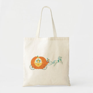 Sac de Cendrillon