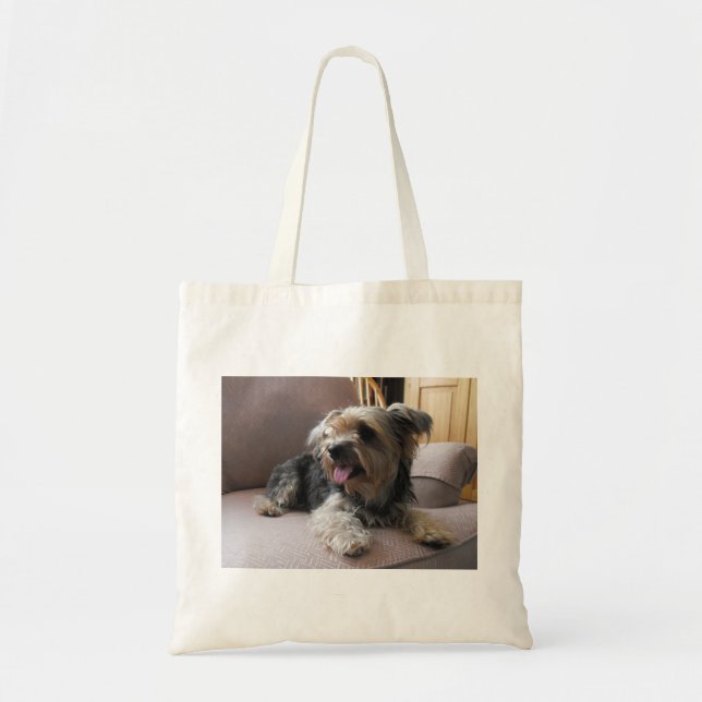 Sac de chien (Devant)