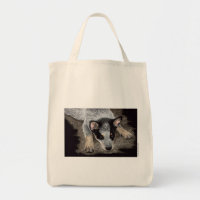 Sac de dressage de chien de bétail australien - "K