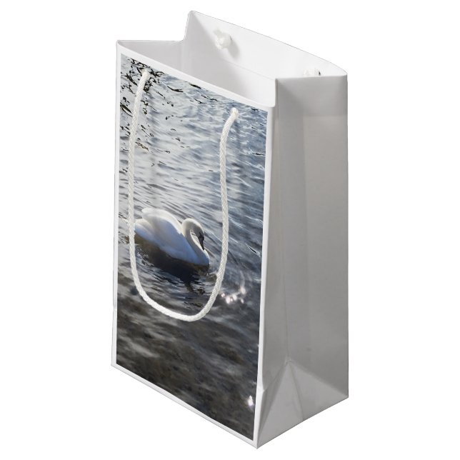 Sac de Gigt de cygne de secteur de lac (Devant Angle)
