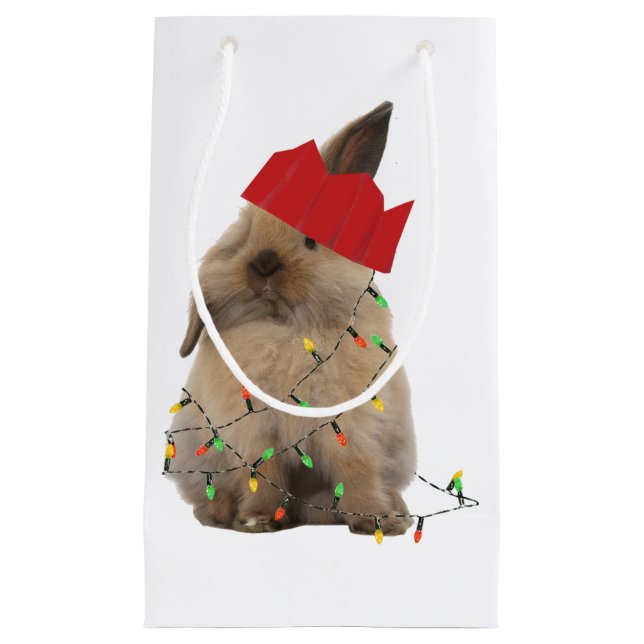 Sac de houblon de cadeau de lapin de Noël (Devant)