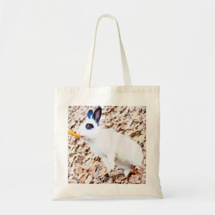 Sac de lapin