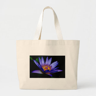sac de lotus