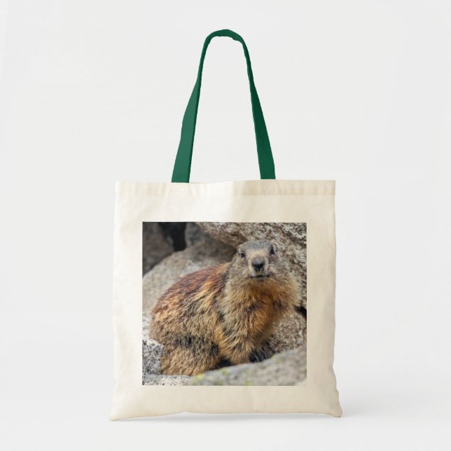 Sac de Marmotte alpine (Devant)