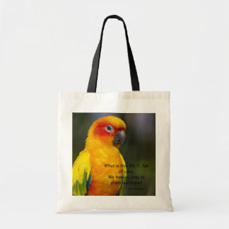 Sac de perroquet de Sun Conure (avec le texte)