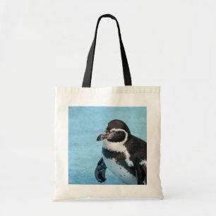Sac de pingouin de Magellan