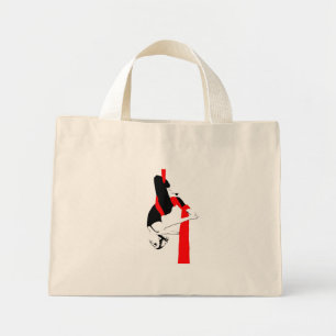 Sac de soie aérienne