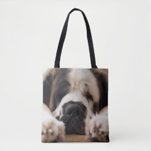 Sac de St Bernard