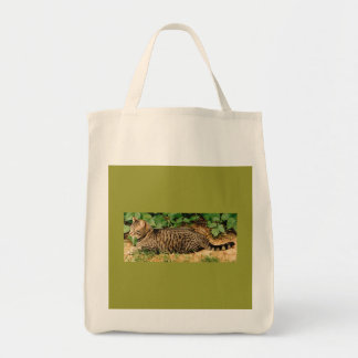 Sac de toile de chat tigré