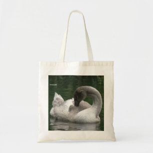 Sac en cygne dormant