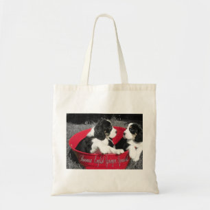 Sac fourre-tout à springer anglais