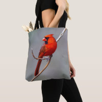 Sac fourre-tout cardinal du Nord masculin et fémin