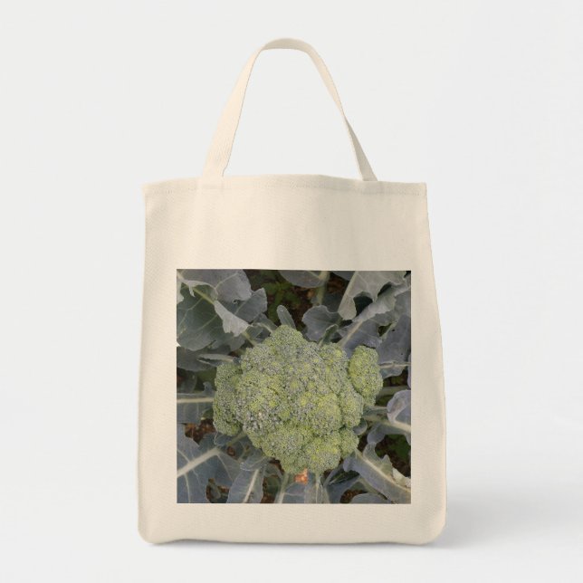 Sac fourre-tout d'alimentation biologique de Brocc (Devant)