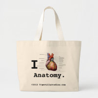Sac fourre-tout d'anatomie du coeur