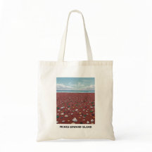 Sac fourre-tout de plage de Souris
