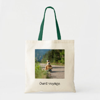 sac fourre tout Notre voyage