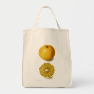 Sac fourre-tout vintage de pamplemousse frais