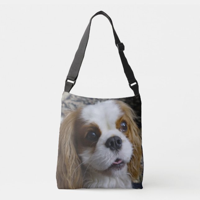 Sac mortuaire cavalier à croix d'épagneul du Roi (Devant)