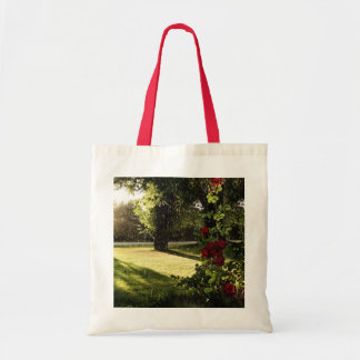 Sac pluvieux de roses