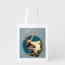 Le Stag et l'Arrière