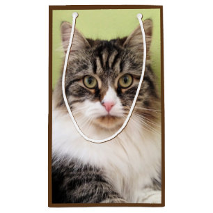 Sac sibérien de cadeau de chat