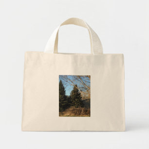 Sac Spring Trees