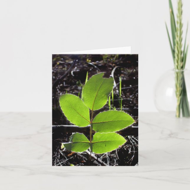 Sachen sind helleres Notecard Karte (Vorderseite)