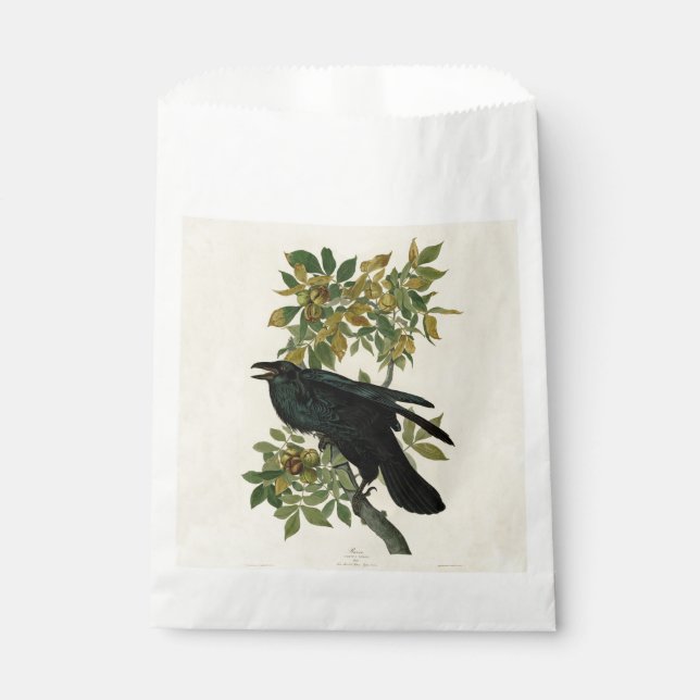 Sachets En Papier Audubon Raven Oiseau classique (Devant)