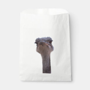 Sachets En Papier autruche