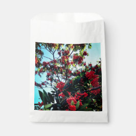 Sachets En Papier Baies rouges