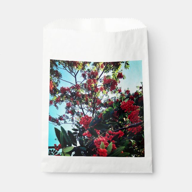 Sachets En Papier Baies rouges (Devant)