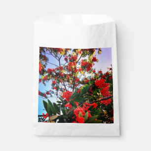 Sachets En Papier Baies rouges