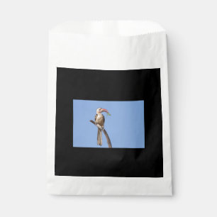 Sachets En Papier Bécasseau à bec rouge