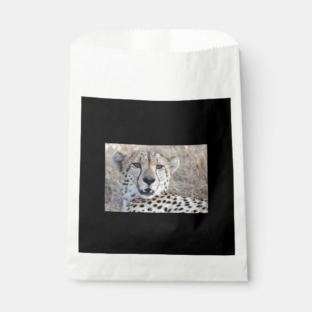 Sachets En Papier Cheetah Portrait (Devant)