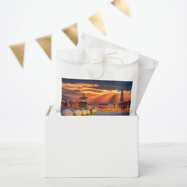 Sachets En Papier Copenhague (Fête)