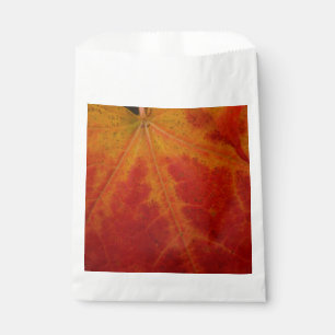 Sachets En Papier Feuille d'érable rouge Abstraite Automne Photograp