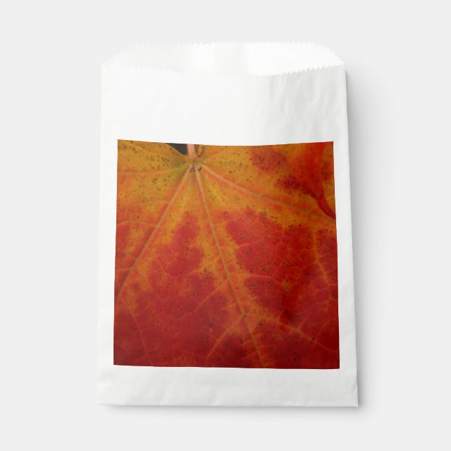 Sachets En Papier Feuille d'érable rouge Abstraite Automne Photograp (Devant)
