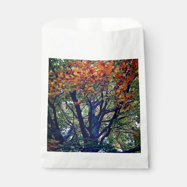 Sachets En Papier Feuille orange (Devant)